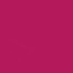 Seven Seas Mood Boost Nail Polish | Bright, Bold & Beautiful Finish - Seven Seas Cosmetics