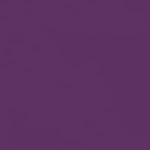 Seven Seas Mood Boost Nail Polish | Bright, Bold & Beautiful Finish - Seven Seas Cosmetics