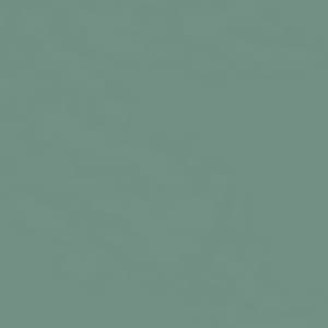 Seven Seas Mood Boost Nail Polish | Bright, Bold & Beautiful Finish - Seven Seas Cosmetics