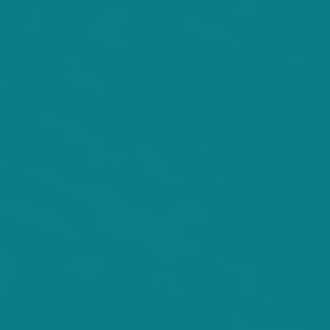 Seven Seas Mood Boost Nail Polish | Bright, Bold & Beautiful Finish - Seven Seas Cosmetics