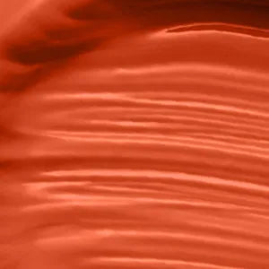 Born to shine liquid lipstick