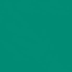 Seven Seas Mood Boost Nail Polish | Bright, Bold & Beautiful Finish - Seven Seas Cosmetics