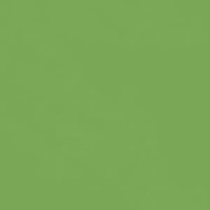 Seven Seas Mood Boost Nail Polish | Bright, Bold & Beautiful Finish - Seven Seas Cosmetics