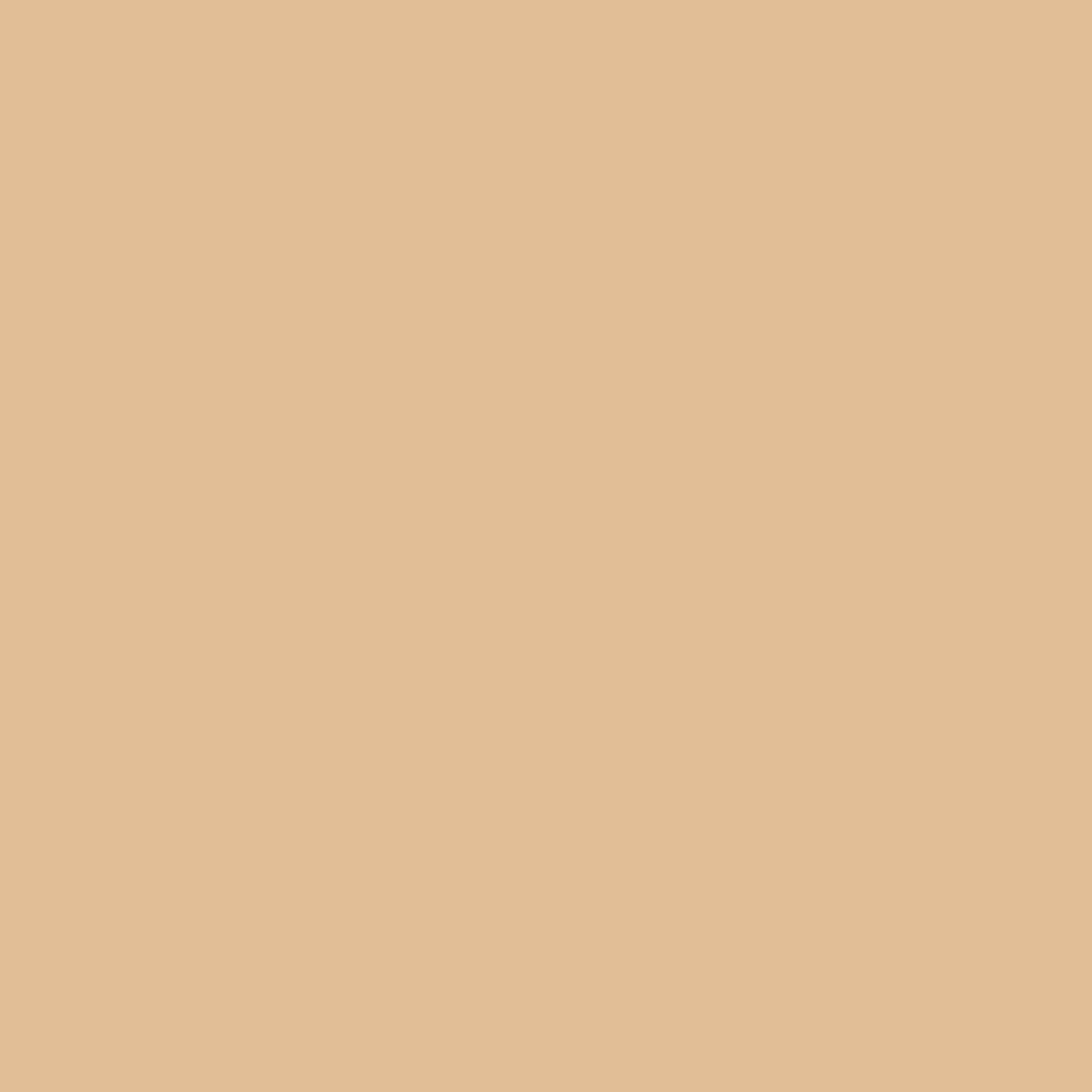 Seven Seas Full Coverage Concealer, Matte & Poreless | Ultra Blendable Matte finish waterproof Long Lasting concealer - Seven Seas Cosmetics