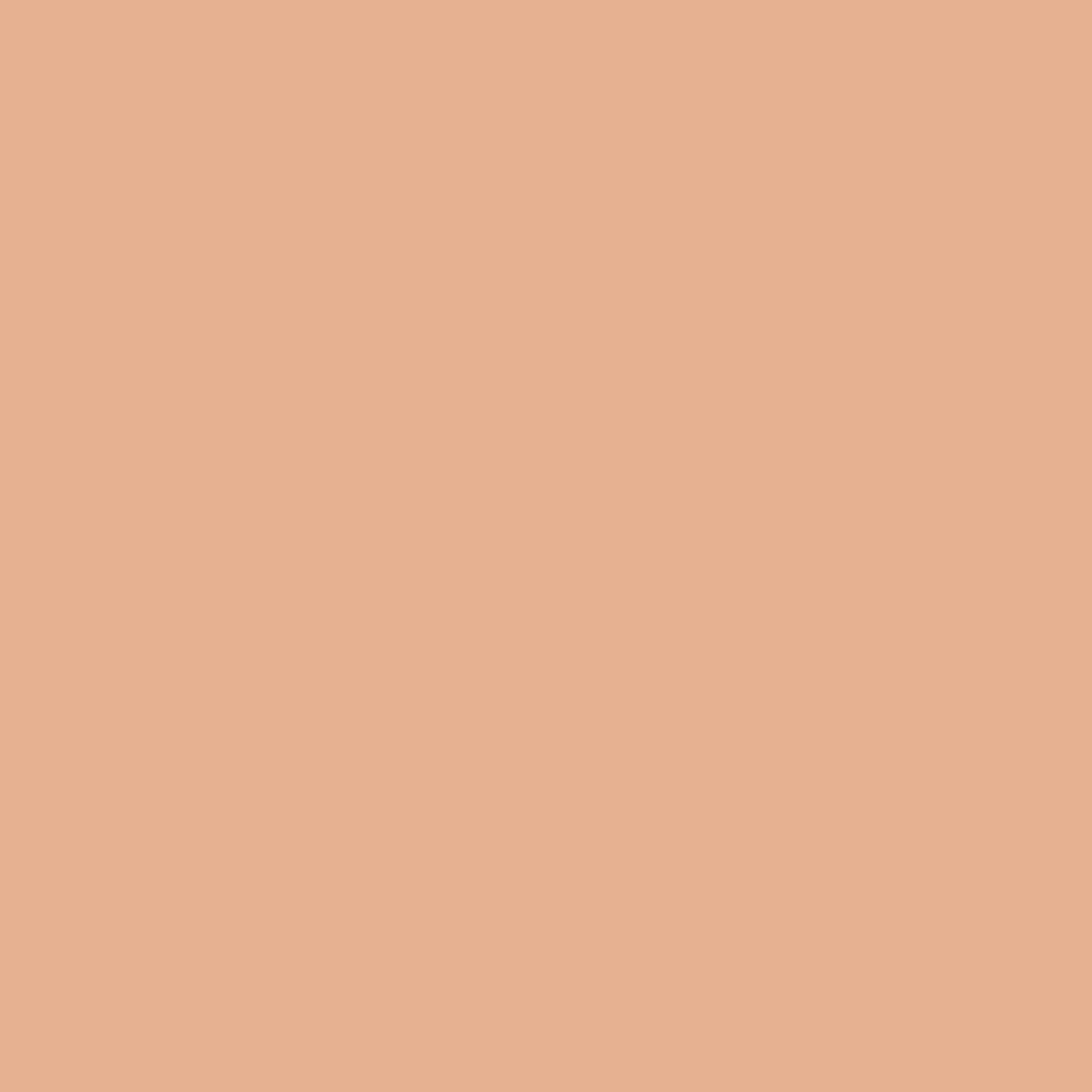 Seven Seas Full Coverage Concealer, Matte & Poreless | Ultra Blendable Matte finish waterproof Long Lasting concealer - Seven Seas Cosmetics