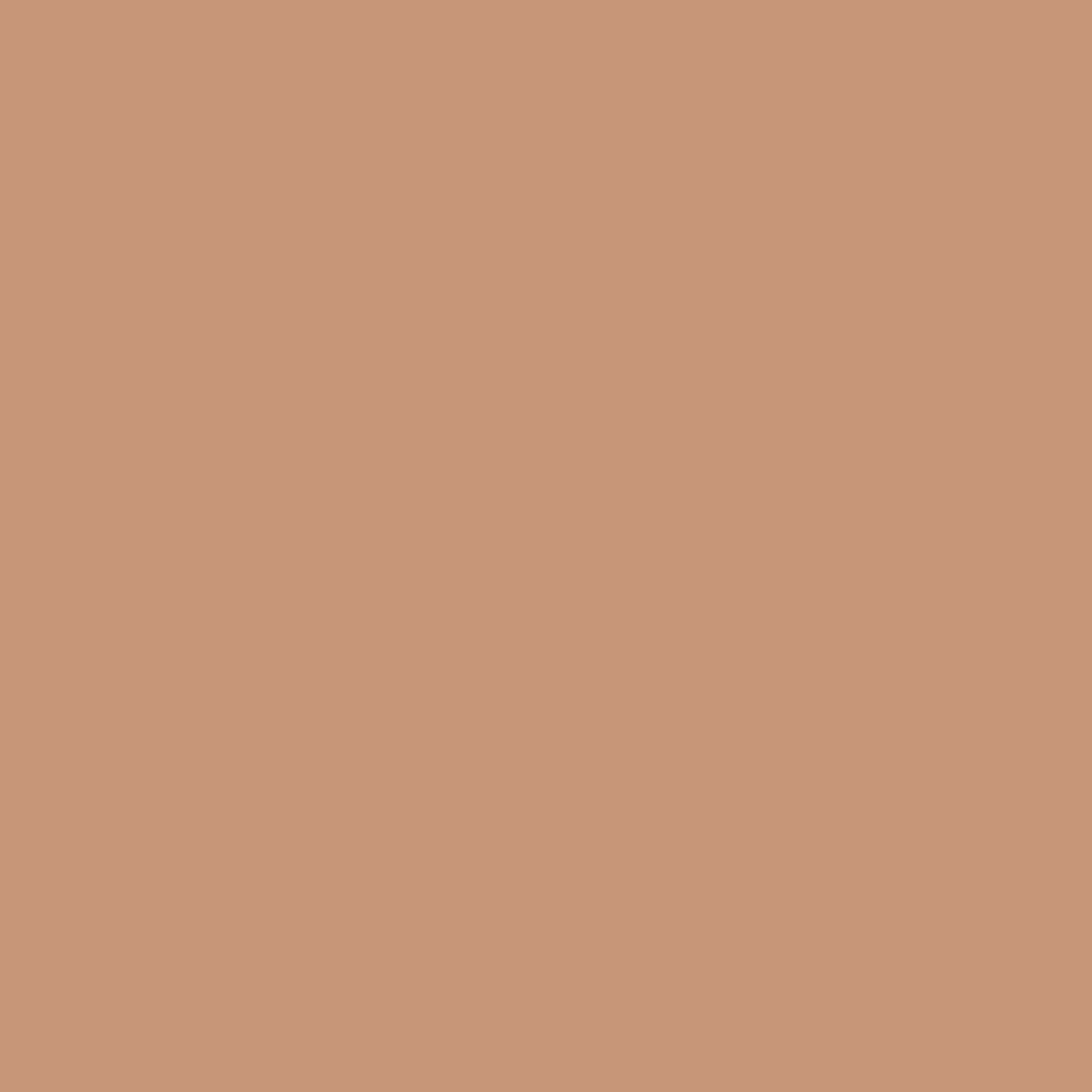 Seven Seas Full Coverage Concealer, Matte & Poreless | Ultra Blendable Matte finish waterproof Long Lasting concealer - Seven Seas Cosmetics