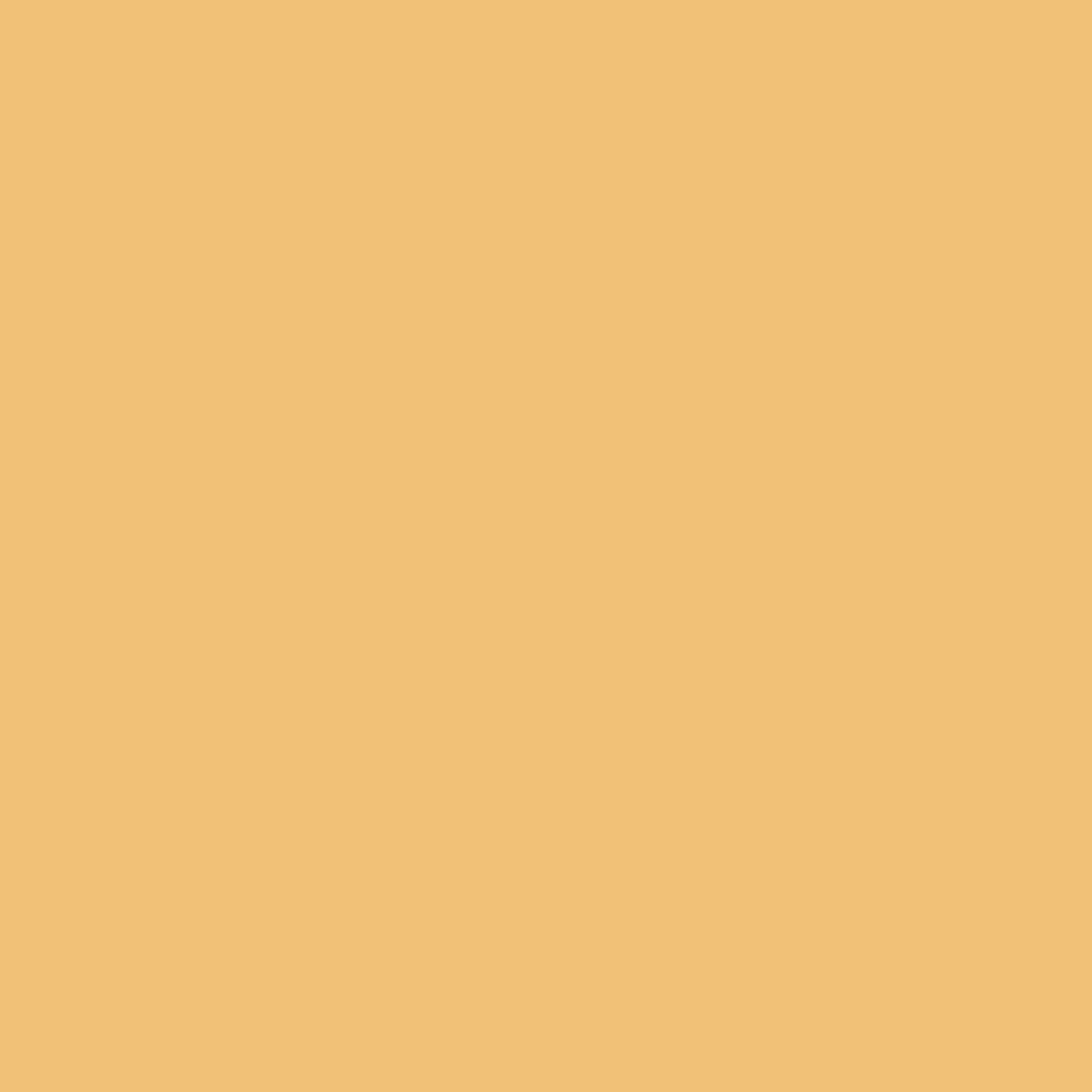 Seven Seas Full Coverage Concealer, Matte & Poreless | Ultra Blendable Matte finish waterproof Long Lasting concealer - Seven Seas Cosmetics