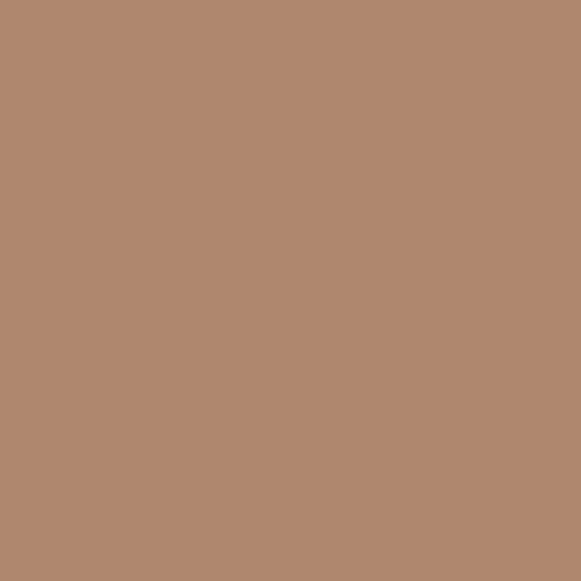 Seven Seas Full Coverage Concealer, Matte & Poreless | Ultra Blendable Matte finish waterproof Long Lasting concealer - Seven Seas Cosmetics