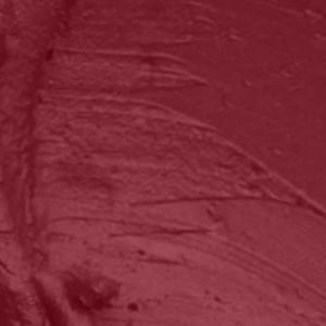 Seven Seas HD Intense Matte Lipstick | Non-Transfer | Lipstick For Women (607-Dark Coffee, 3.5G) - Seven Seas Cosmetics