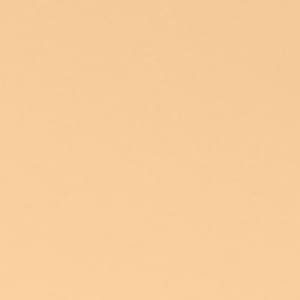 Seven Seas Absolute Compact Powder | Blends Effortlessly | Perfect Coverage | Comfortable Wear | Weightless Texture | Suitable for All Skin Types - Seven Seas Cosmetics