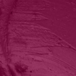 Seven Seas HD Intense Matte Lipstick | Non-Transfer | Lipstick For Women (607-Dark Coffee, 3.5G) - Seven Seas Cosmetics