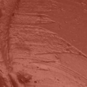 Seven Seas HD Intense Matte Lipstick | Non-Transfer | Lipstick For Women (607-Dark Coffee, 3.5G) - Seven Seas Cosmetics