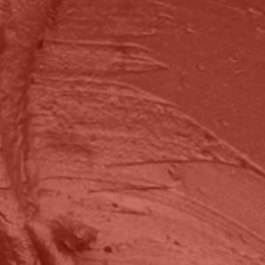 Seven Seas HD Intense Matte Lipstick | Non-Transfer | Lipstick For Women (607-Dark Coffee, 3.5G) - Seven Seas Cosmetics