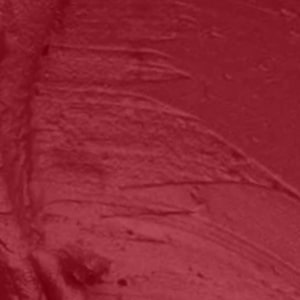 Seven Seas HD Intense Matte Lipstick | Non-Transfer | Lipstick For Women (607-Dark Coffee, 3.5G) - Seven Seas Cosmetics