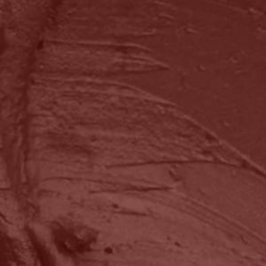 Seven Seas HD Intense Matte Lipstick | Non-Transfer | Lipstick For Women (607-Dark Coffee, 3.5G) - Seven Seas Cosmetics