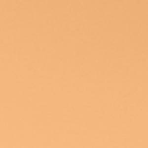 Seven Seas Absolute Compact Powder | Blends Effortlessly | Perfect Coverage | Comfortable Wear | Weightless Texture | Suitable for All Skin Types - Seven Seas Cosmetics