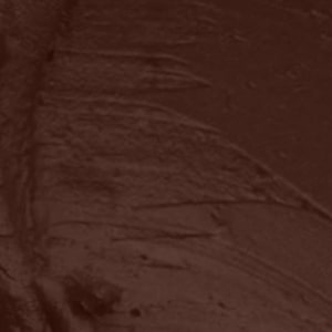 Seven Seas HD Intense Matte Lipstick | Non-Transfer | Lipstick For Women (607-Dark Coffee, 3.5G) - Seven Seas Cosmetics