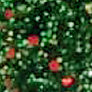 Seven Seas Mood Boost Nail Polish | Bright, Bold &amp; Beautiful Finish - Seven Seas Cosmetics