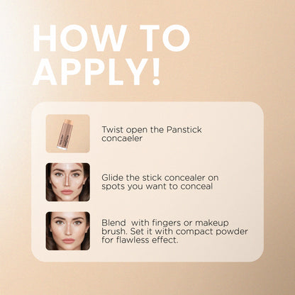 Perfect Match Panstick Foundation