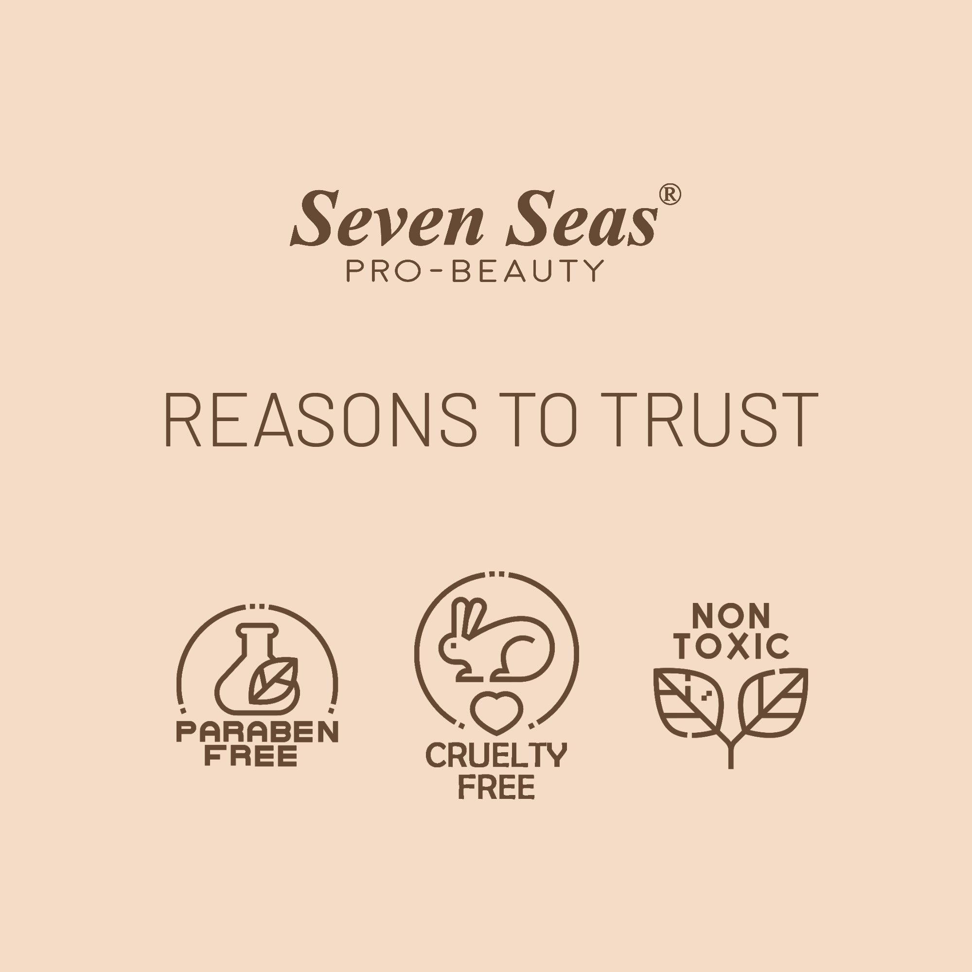 Seven Seas BB Graceful Foundation - Seven Seas Cosmetics